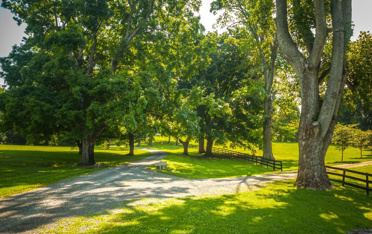 Glen Gordon Manor Bed & Breakfast Huntly Luaran gambar