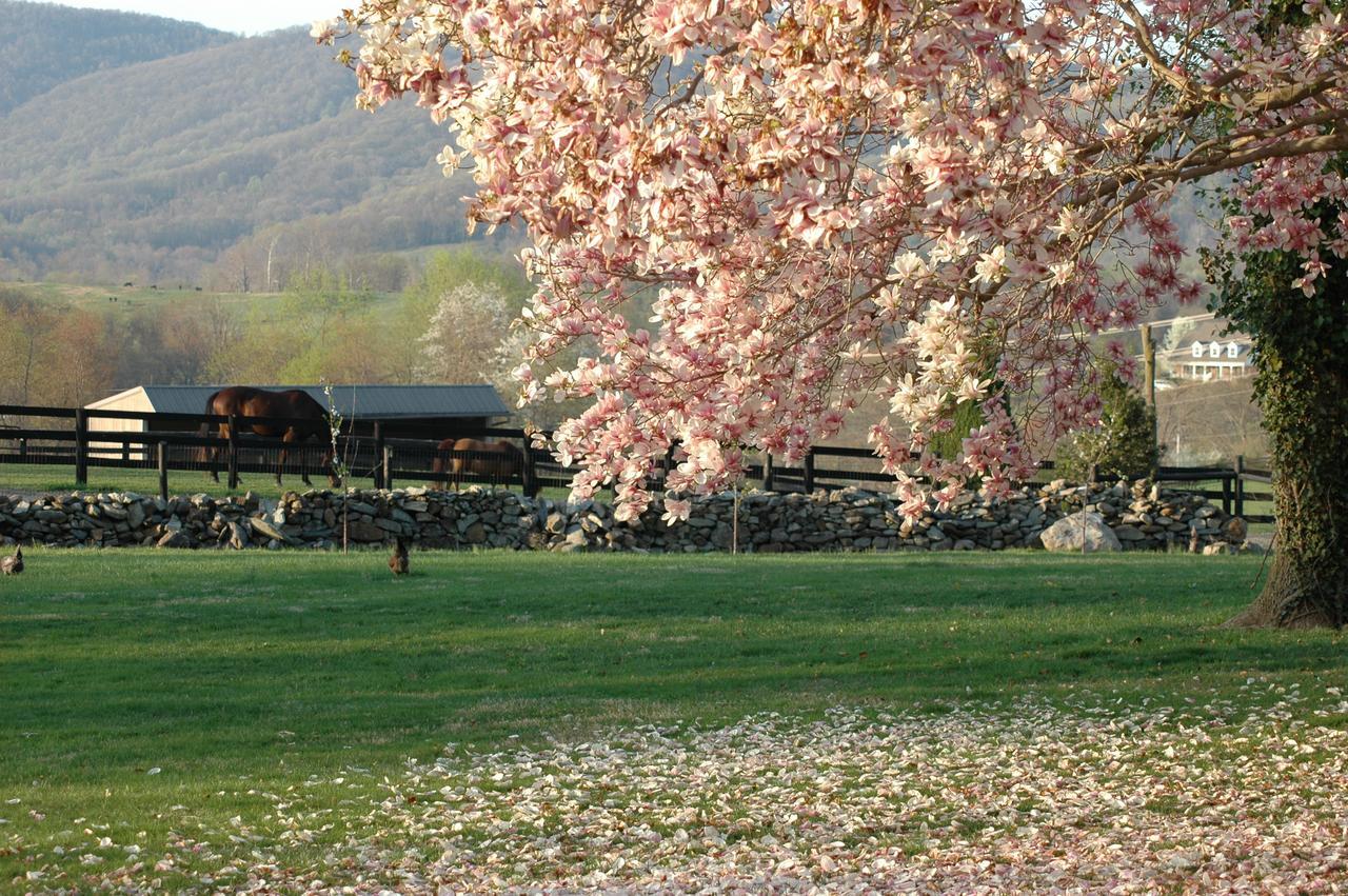 Glen Gordon Manor Bed & Breakfast Huntly Luaran gambar